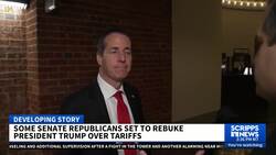 Lawmakers weigh in on Trump's sweeping new tariffs News Clip