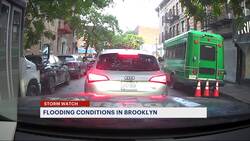 Rain takes down trees and impacts commuters News Clip