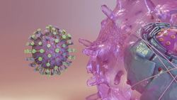 Mutation may have made the coronavirus more infectious and less deadly: scientists Instructional Video