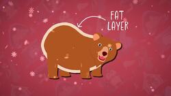 High Five Facts - Hibernation Instructional Video