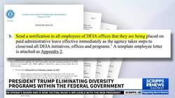 What federal changes to DEI policies could mean for business News Clip
