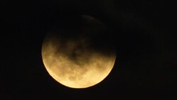 CLEAN : 'Buck' supermoon lights up the sky over Beirut News Clip