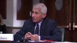 100,000 new coronavirus cases per day possible in U.S. unless measures taken, Fauci says News Clip