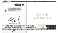 With $60 Million in Funding, Lemonade Looks to Capture New Customers News Clip