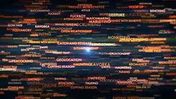 Dating Terms Stock Footage