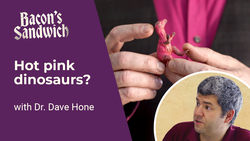 What Colour Were Dinosaurs? Instructional Video