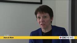 Still no N.L. disability advocate five years after mandate letter News Clip