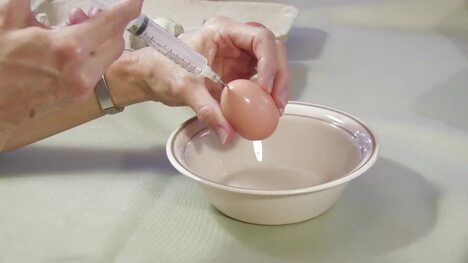 How to Decorate for Easter