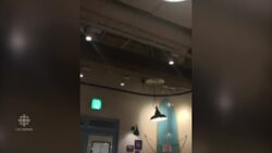 Japan jolted by 6.6 magnitude quake News Clip