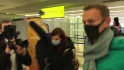 CLEAN : SHORT PROFILE: Jailed Kremlin critic Alexei Navalny News Clip