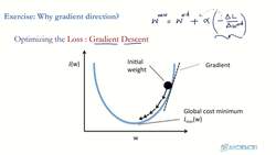 Reinforcement Learning and Deep RL Python Theory and Projects - DNN Gradient Descent Exercise Instructional Video