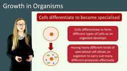 Growth in Organisms: Understanding Cell Division and Differentiation in Animals and Plants Instructional Video