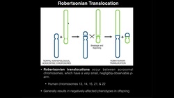 Robertsonian Translocations & Correlation to Down Syndrome Instructional Video