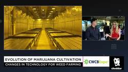 A Muscle Shake For Marijuana News Clip