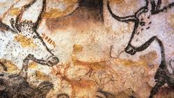 Exploring the Sky: The History and Use of Star Charts Instructional Video