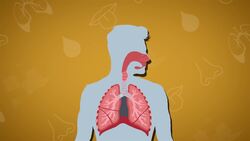 I WONDER - What Happens To The Air That We Breathe? Instructional Video