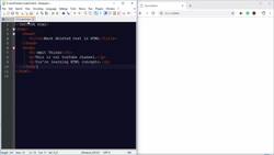 HTML Tutorial for Beginners(2022) - Mark Deleted Text Instructional Video