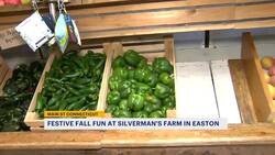 Main Street Connecticut: Showcasing Silverman's Farm in Easton News Clip