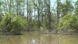 CLEAN : Climate change stirs ghosts of America's toxic past News Clip