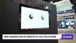 Consumer Electronics Show Highlights New Generation Of Robots News Clip