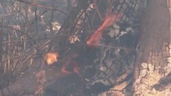 CLEAN : FILE: Brazil wildfires surge again in 2020 News Clip