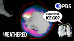 Was This Really a 1 in 700,000,000,000 Year Event?! Instructional Video