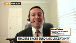 FX Strategists Call End of Euro Rally News Clip