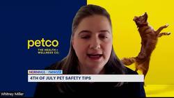 Doctor offers tips on how to care for pets on July 4 News Clip