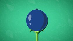 I WONDER - What Job Does Fruit Do? Instructional Video