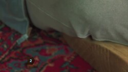 How to Teach Your Dog to High-Five Instructional Video