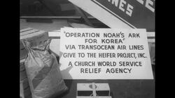 DC-4 plane is loaded with goats, rabbits, and bees to be transported to war-torn Korea as part of the Heifer Project News Clip