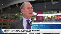 NYC Congestion Pricing Will Reduce Traffic by 10-20%, MTA Boss Says News Clip