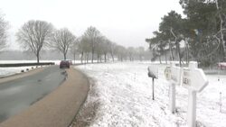CLEAN : In northern France, snow covers motorway and fields News Clip