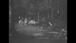 Dogs and their handlers in Wonalancet, NH News Clip