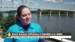 Bald Eagle Officially Named U.S. Bird | Brings Pride And Hope to Native Americans News Clip