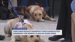 Nonprofit holds graduation ceremony in Yorktown Heights for its newest class of guide dogs News Clip