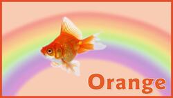 The Orange Song Instructional Video