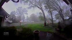 Powerful tornado rips down trees in Michigan News Clip