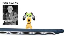 Animal Conditioning Instructional Video