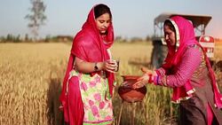 women serving water in traditional style Stock Footage