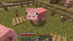 Minecraft 1.1 Update changes Instructional Video