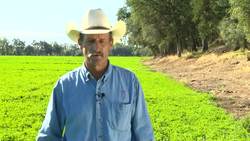 Conserving Water and Energy Instructional Video