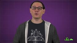 Why Pandas LOVE Rolling in Horse Manure Instructional Video