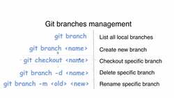 Complete Git Guide: Understand and Master Git and GitHub - Git Branches Management Instructional Video