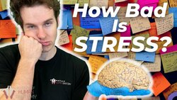 Understanding the Physiology of Stress and its Health Consequences Instructional Video
