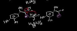 Schiff Base Chemistry 2 Monoamine Oxidase Instructional Video