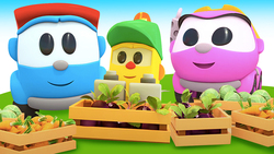 A Barn for Fruits and Vegetables Instructional Video