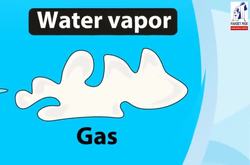 Water | Summary Instructional Video