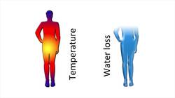 BIOLOGY - Environment - What is Adaptation Instructional Video