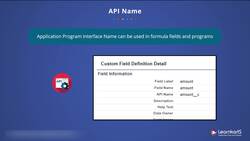 Salesforce Platform App Builder Certification Training - API Name Instructional Video